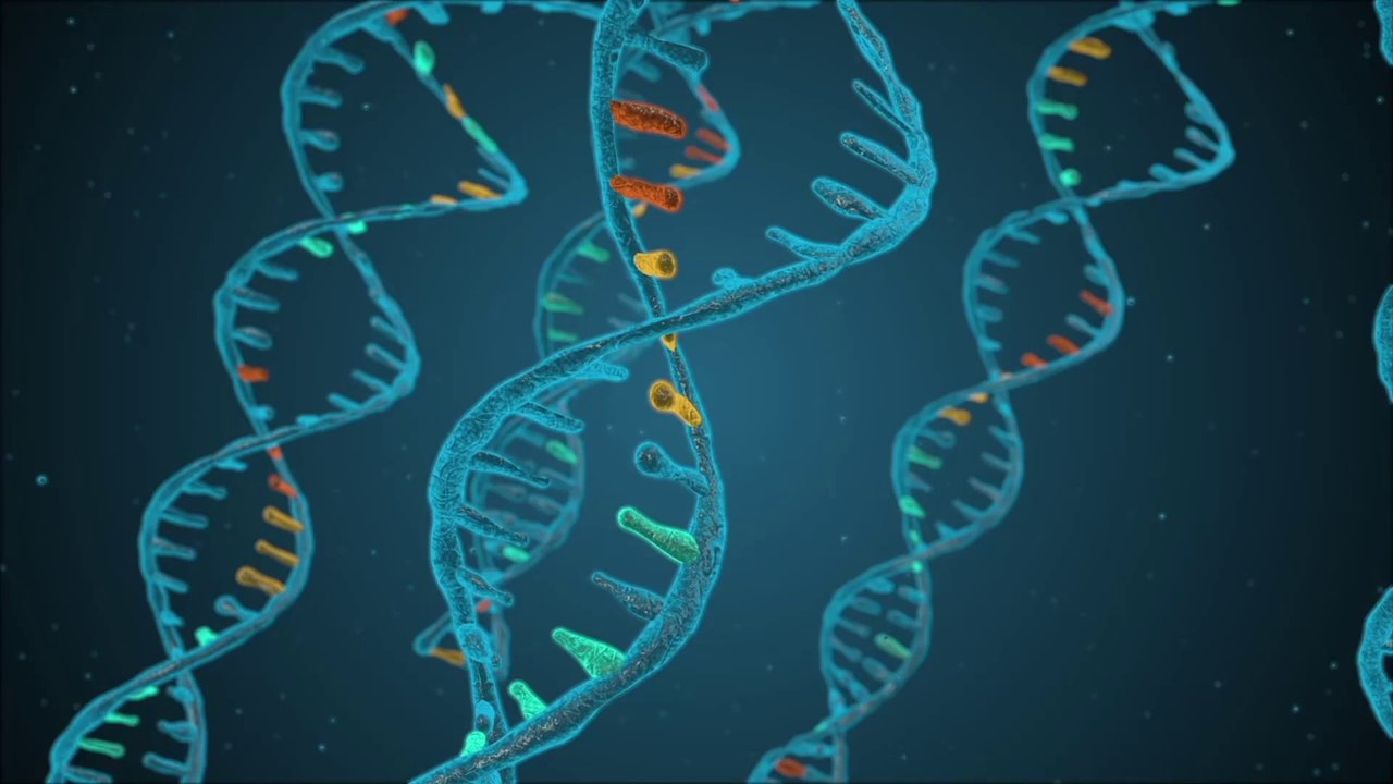 Genetica medica, diagnosi pi? precise e terapie personalizzate