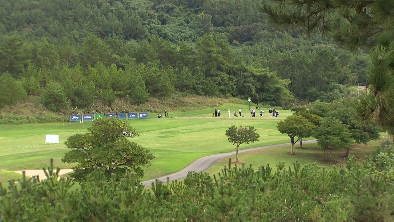 LPGA BMW 챔피언십, 내년부터 KLPGA 30명 참가 / YTN