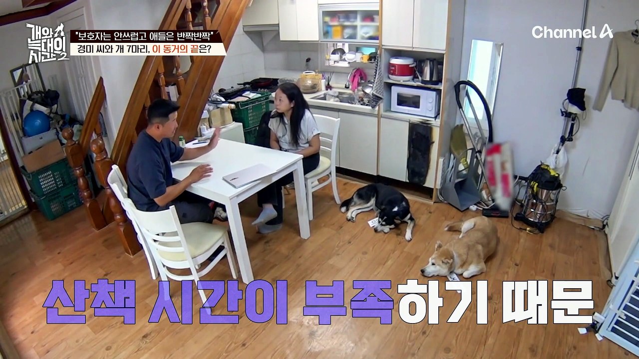 "본가를 가는 게 어때요?" 조심스럽게 대안을 권유하는 강 훈련사