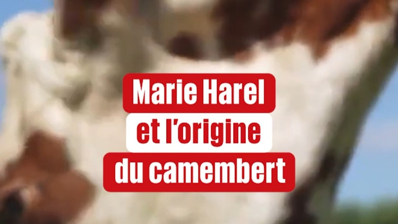Marie Harel et l'invention du camembert