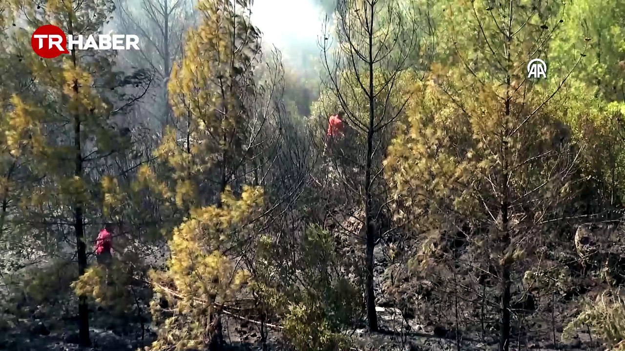 Antalya'da ormanlık alanda çıkan yangına müdahale ediliyor