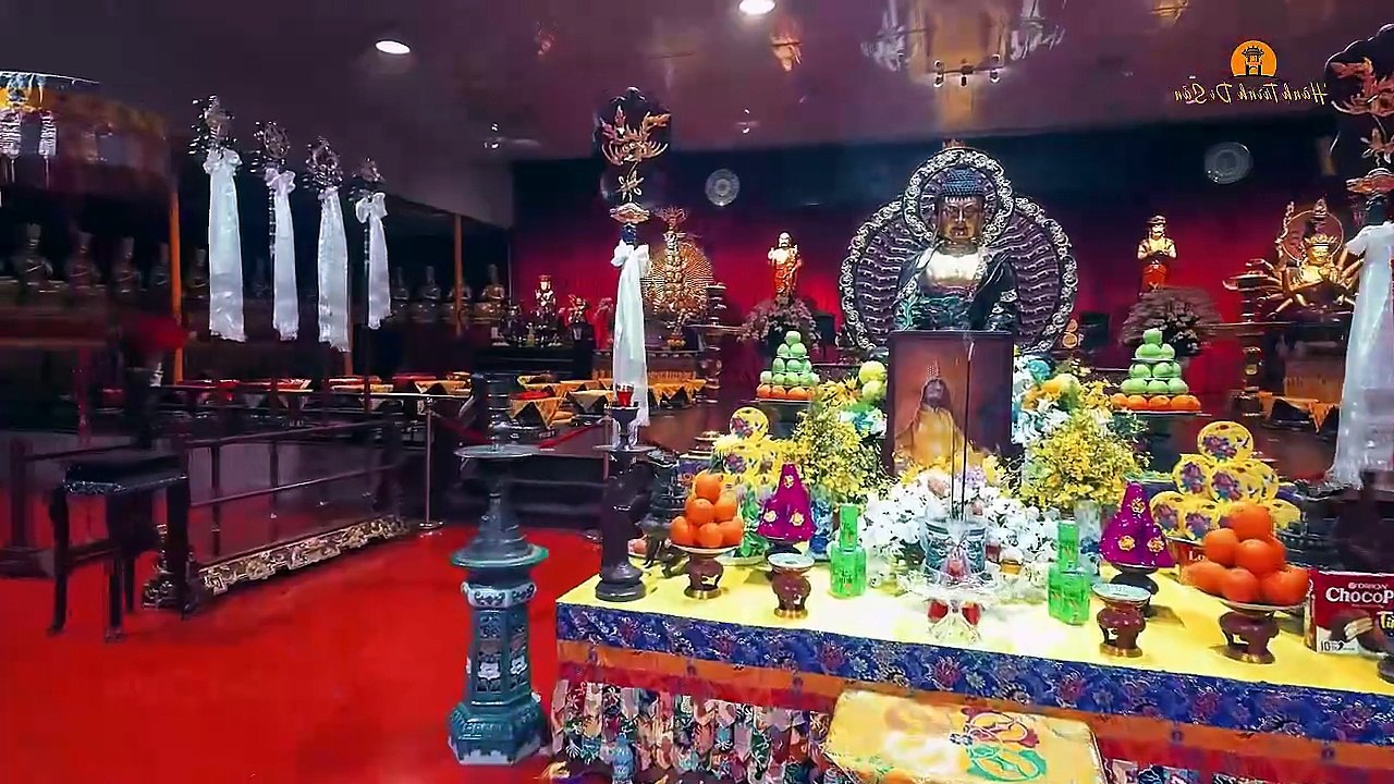 Thank you Dicemu grazie à Giap Dang Thien 4 20260722