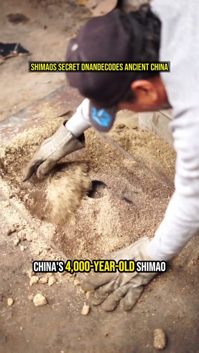 Shimao's Secret: DNA Decodes Ancient China! 🧬