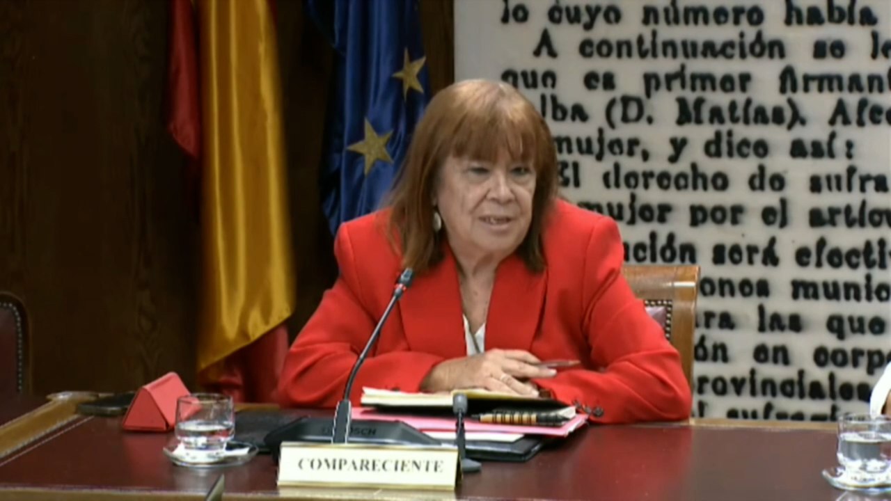 Narbona niega haber conocido la 'trama Leire' y haberla promocionado