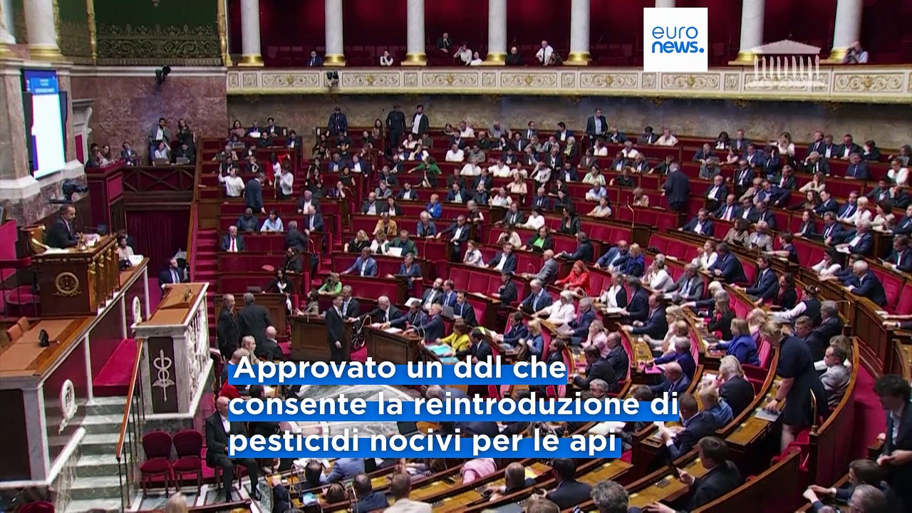 Francia, la ministra dell'Ambiente si dimette ma Macron la convince a restare: scontro sui pesticidi