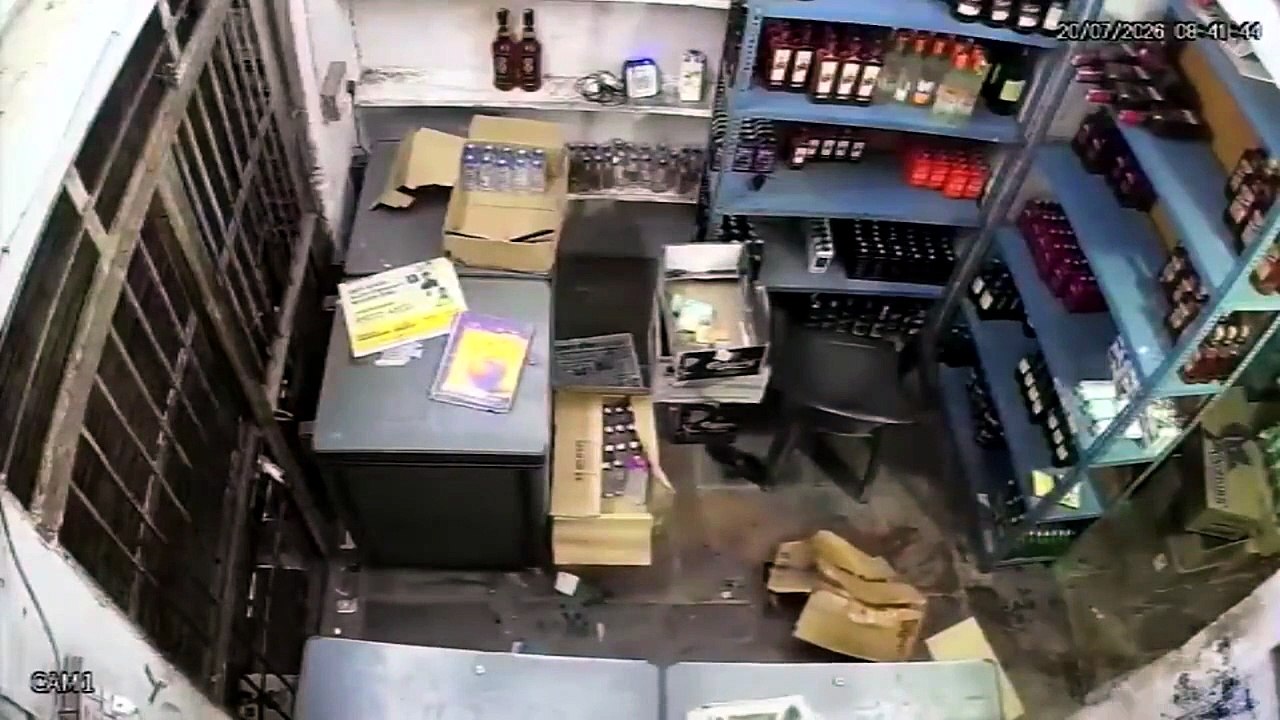 India, un leopardo irrompe in un negozio di liquori e aggredisce il cassiere