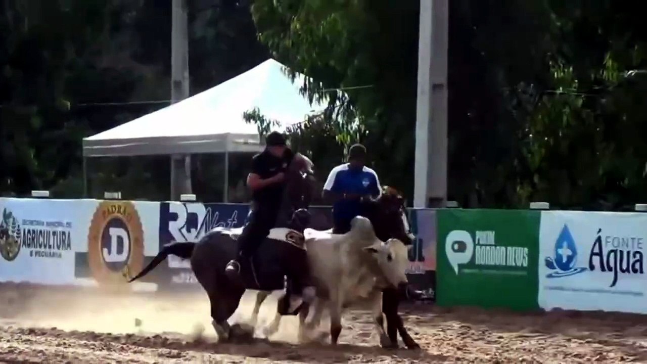 a senha antecipada_ correu na vez_ tirou os bois no meio_ bateu a senha_ já passa direto para a terceira rodada da disputa.