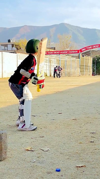 Straight shot the perfect straight shot against hardball #coverdrive #battingpractice #cricket