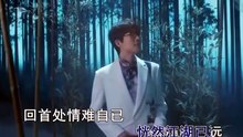 如谜——翻唱许嵩