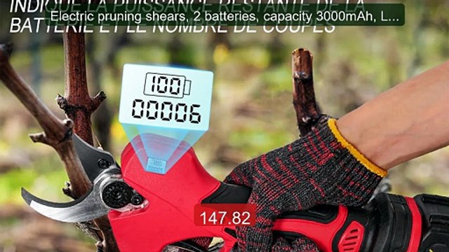 Electric pruning shears, 2 batteries, capacity 3000mAh, LCD screen,... Top Rated 2026 | Buy Now!