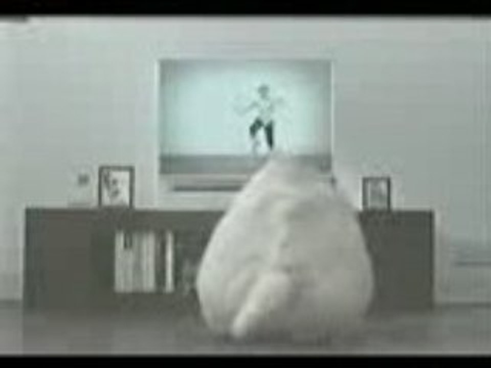 Gros chat!