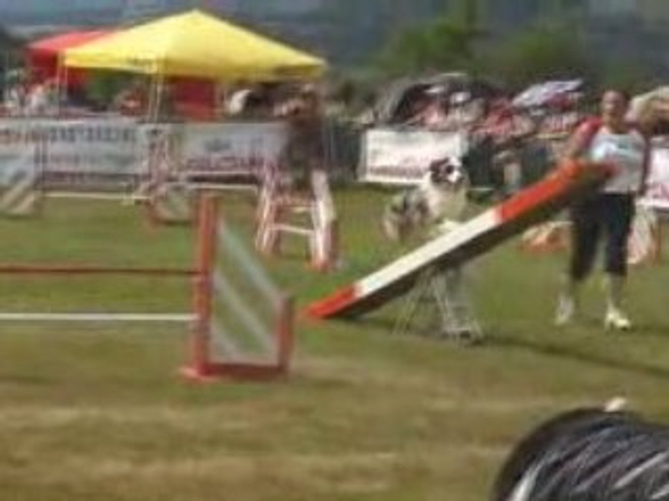 Le Creusot Baxter Agility