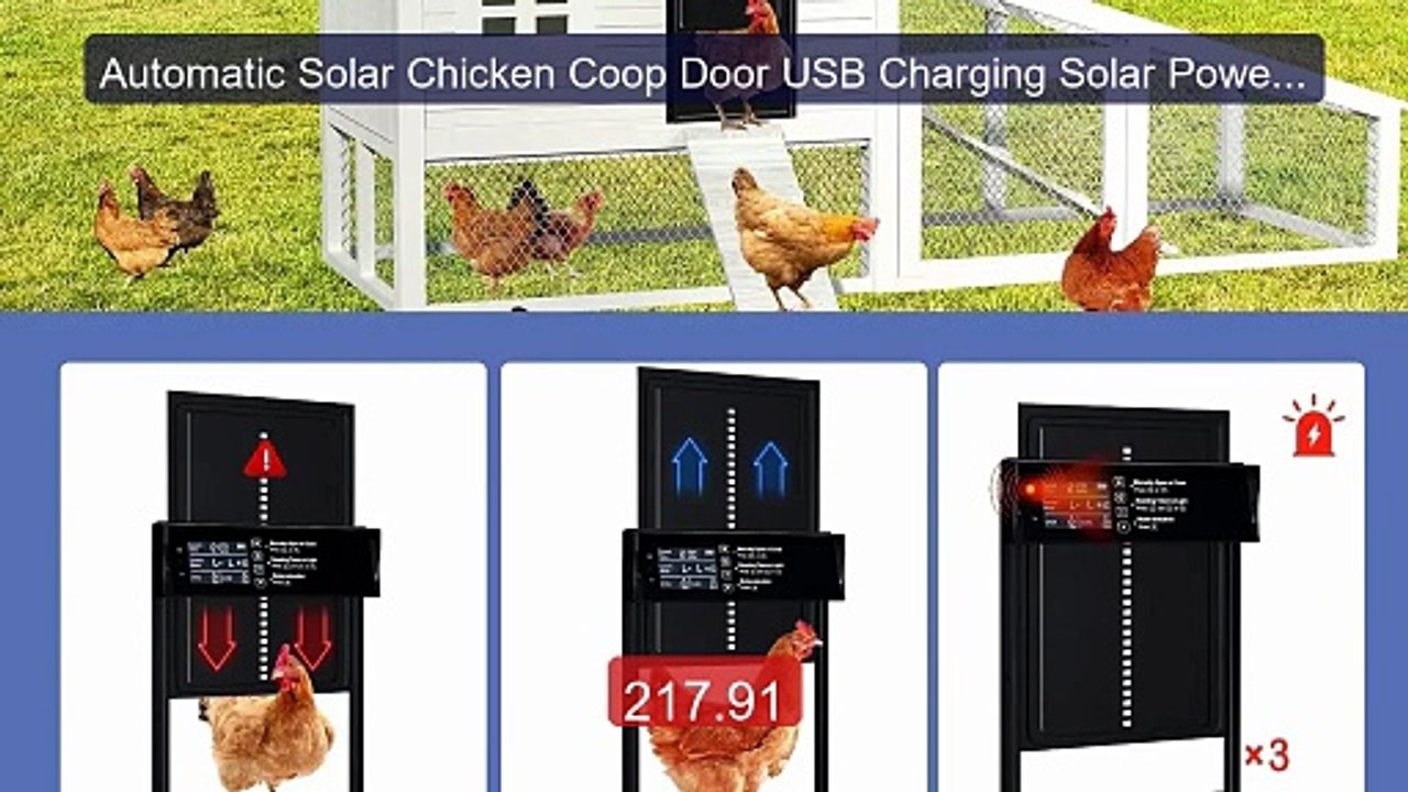 Automatic Solar Chicken Coop Door USB Charging Solar Powered A... -- Best Buy 2026 | Great Quality!