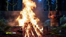 Si vous êtes ambitieux mais paresseux, regardez cette vidéo. / If you're ambitious but lazy, please watch this video