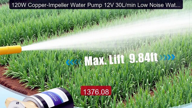 120W Copper-Impeller Water Pump 12V 30L/min Low Noise Water P... Amazing Value 2026 | Must Have!