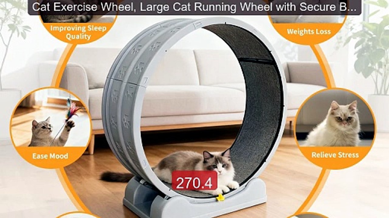 Cat Exercise Wheel, Large Cat Running Wheel with Secure Brake&Carp... -- Best Deal 2026 | Shop Now!