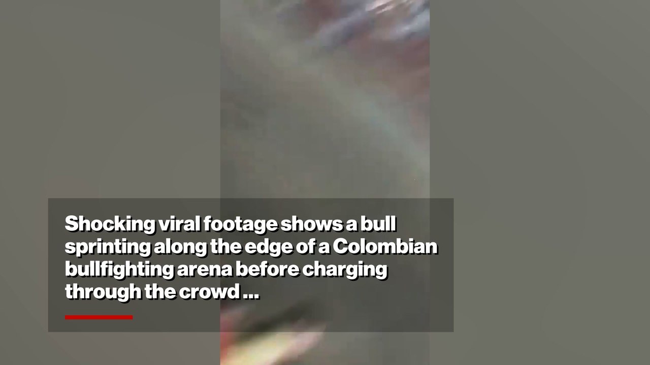 Wild Moment Bull Jumps Over Stadium Barrier and Rampages Through Crowd