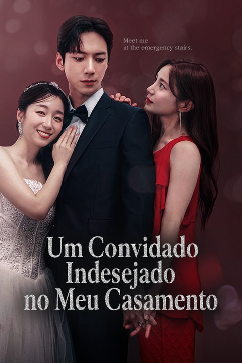 Um Convidado Indesejado no Meu Casamento Série Completa
