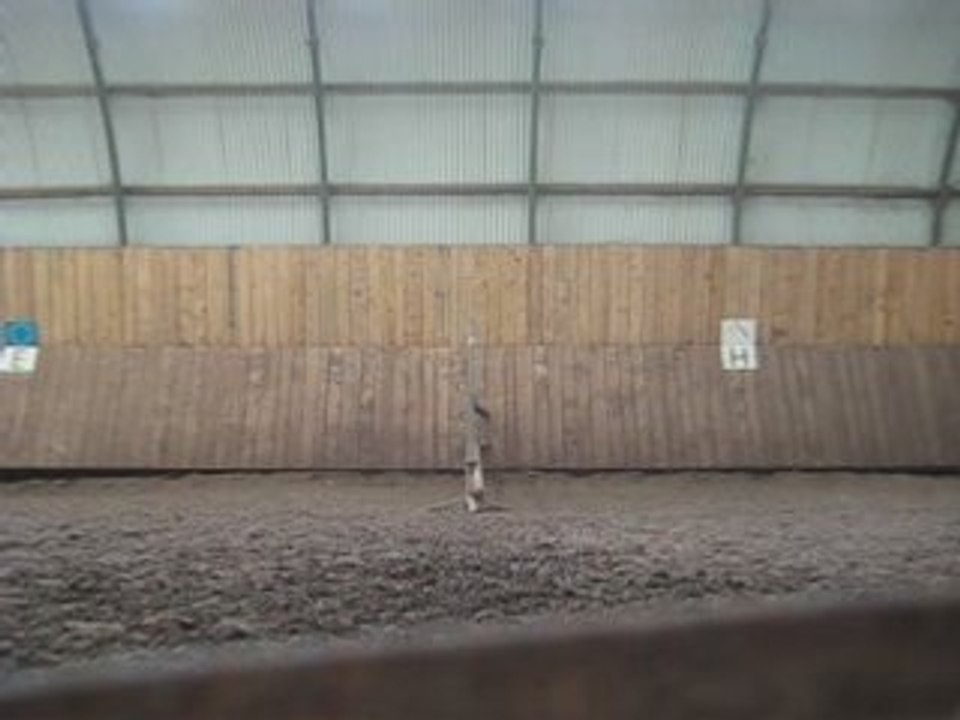 Dusty saut