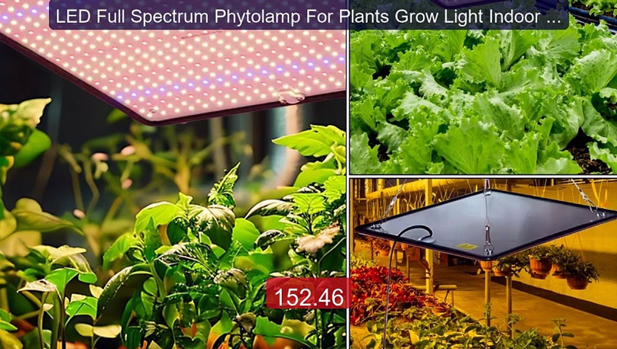 LED Full Spectrum Phytolamp For Plants Grow Light Indoor Flow... -- Amazing Value 2026 | Must Have!