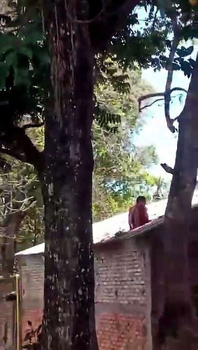 Recapturan a tres internos tras fuga en carceleta de Popayán