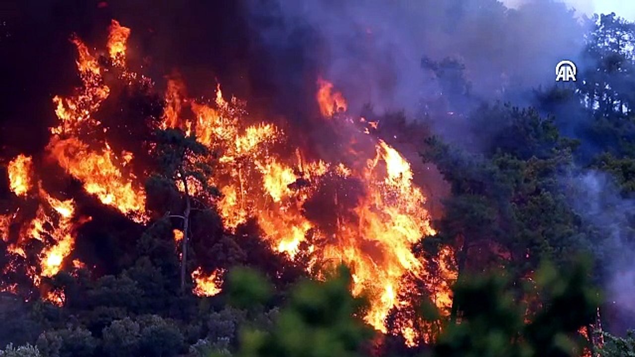 Fethiye'de yangın