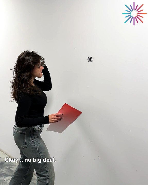 This spider had other plans 😂🕸️