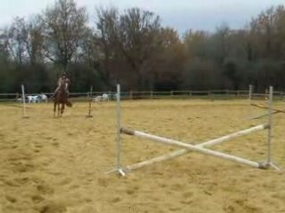 Premier Saut de Queen