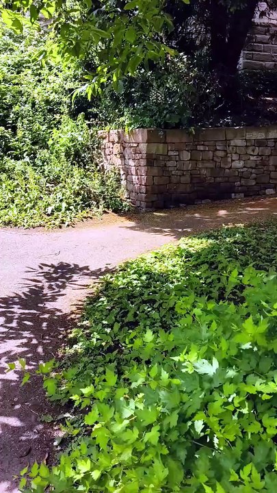 Chester - Chester Roman Gardens [2]