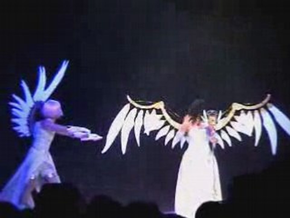 WCS 2008 France Japan Expo Clover01