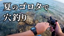 【穴釣り】夏のゴロタで穴釣りしてみたら⋯