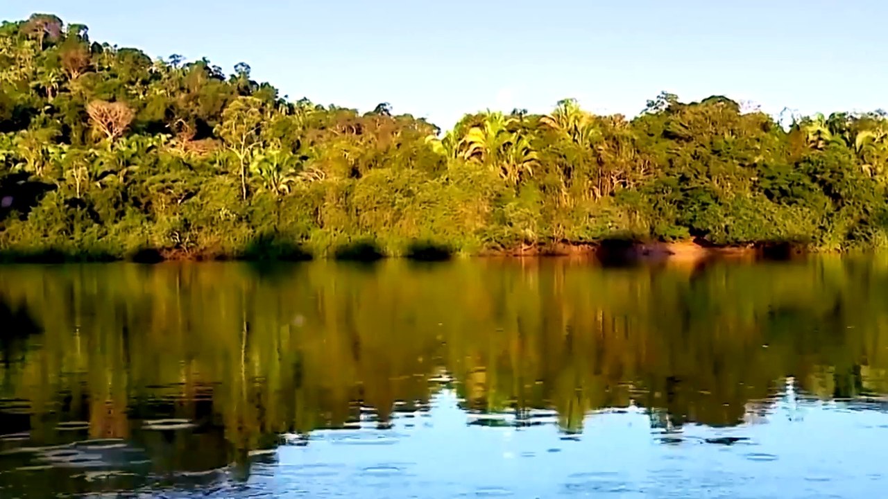 Idoso trabalho escravo