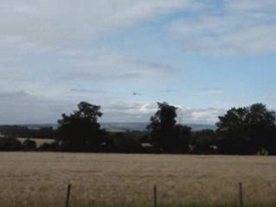 Looping  Honey bee MAX FP