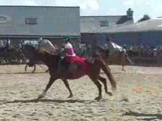 Carrousel 2008 - Carnaval de Venise