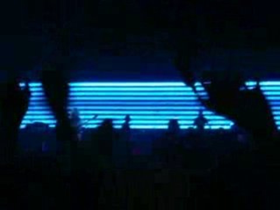 Eurockéennes 2008 : Massive Attack 2