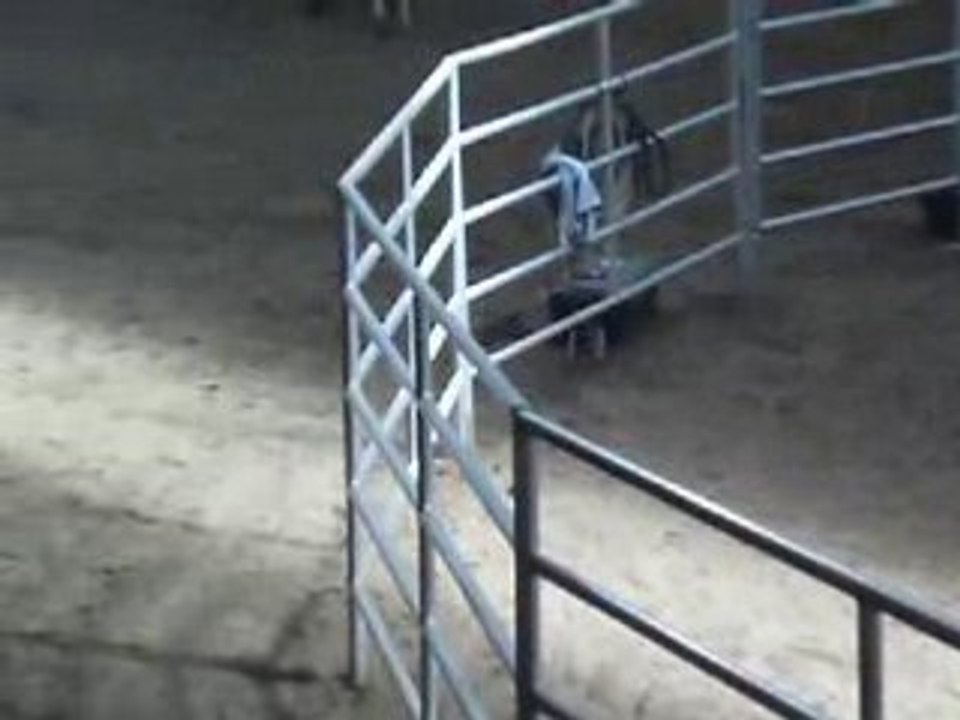 Ma LOLO au travail
