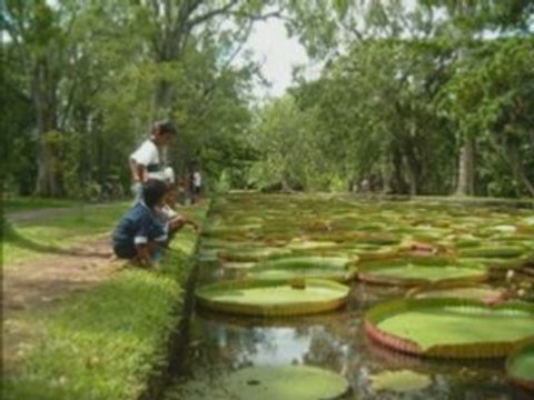 Les vacances dans l'océan indien