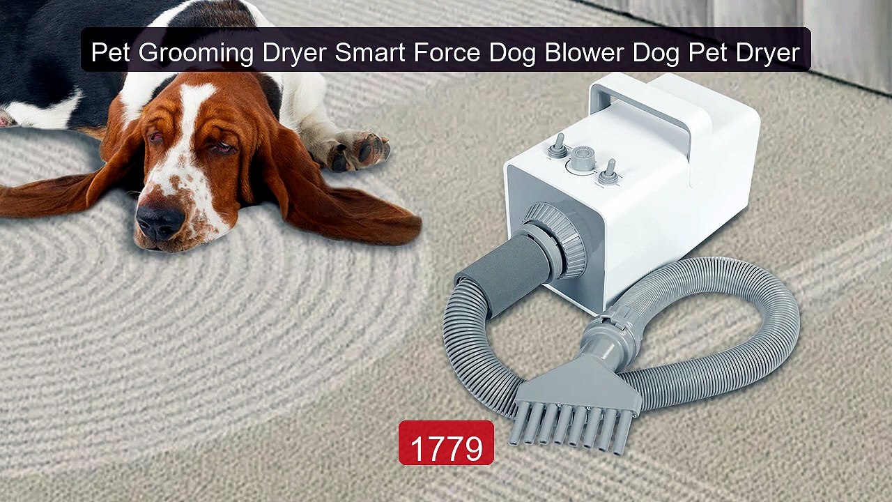 Pet Grooming Dryer Smart Force Dog Blower Dog Pet Dryer -- Top Pick 2026 | Unbeatable Price!