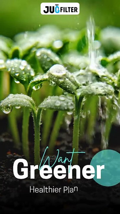 Water Filter for Gardening – Boost Plant Growth Naturally