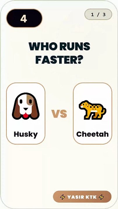 Can You Outsmart This Puzzle | Pattern Quiz Sharp Minds Only
