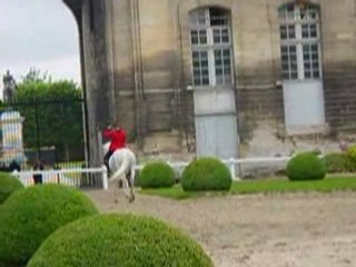 Spectacle equestre de chantilly