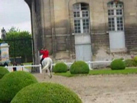 Spectacle equestre de chantilly