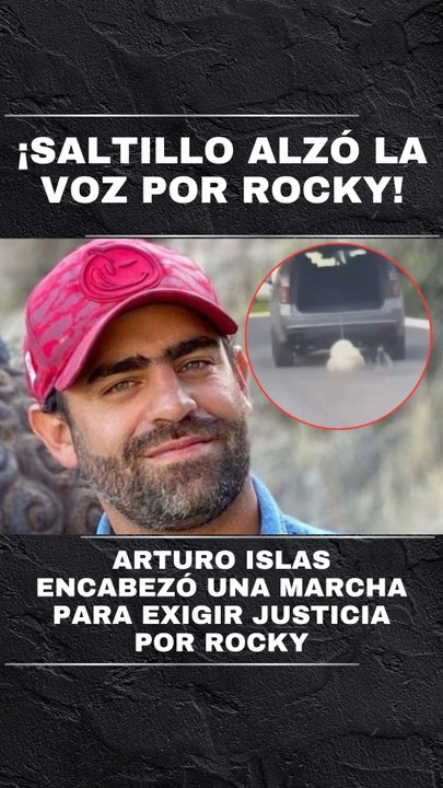 Arturo Islas organiza marcha por Rocky; cientos exigen justicia para el perrito en Saltillo