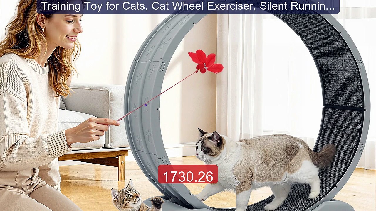 Training Toy for Cats, Cat Wheel Exerciser, Silent Running Wheel, ... -- Best Deal 2026 | Shop Now!