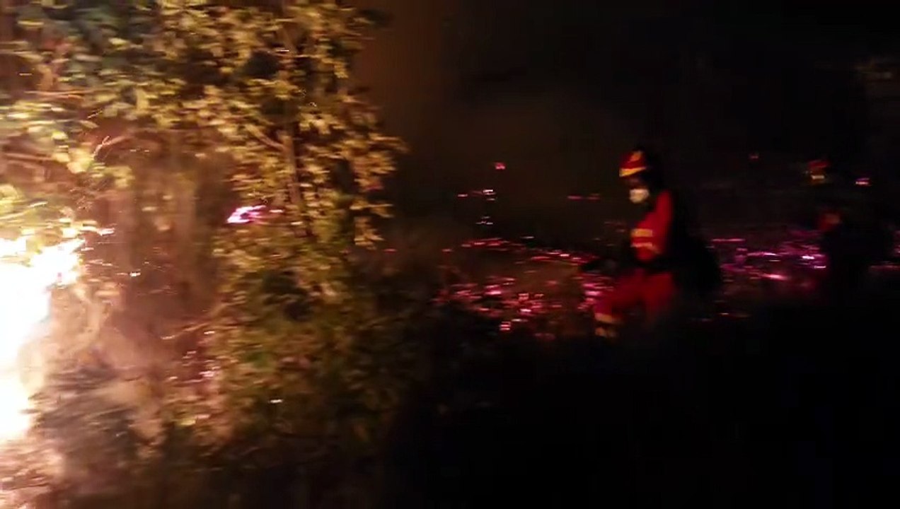 La UME ataca las llamas del incendio de Castropodame (I)