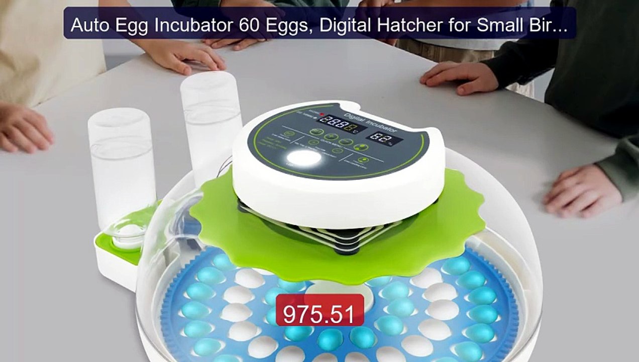 Auto Egg Incubator 60 Eggs, Digital Hatcher for Small Birds... -- Top Pick 2026 | Unbeatable Price!