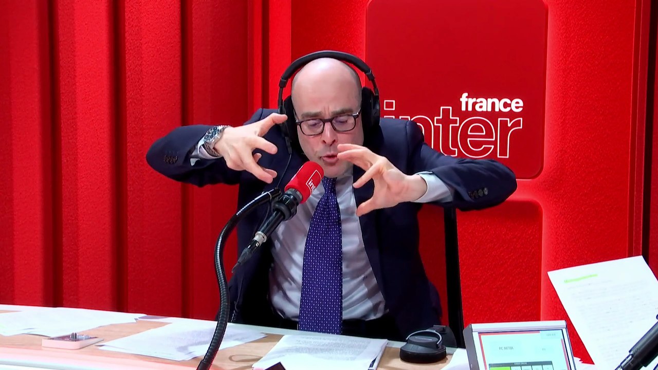 Pourquoi les chats retombent-ils sur leurs pattes ? "C'est prouvé" par Fabrizio Bucella