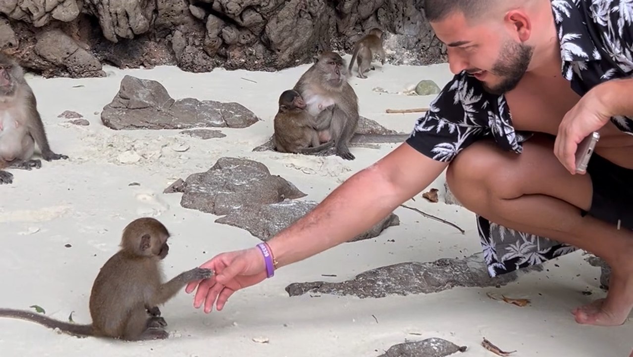 Cautious Encounter: Young Man Backs Away as Mother Monkey Approaches