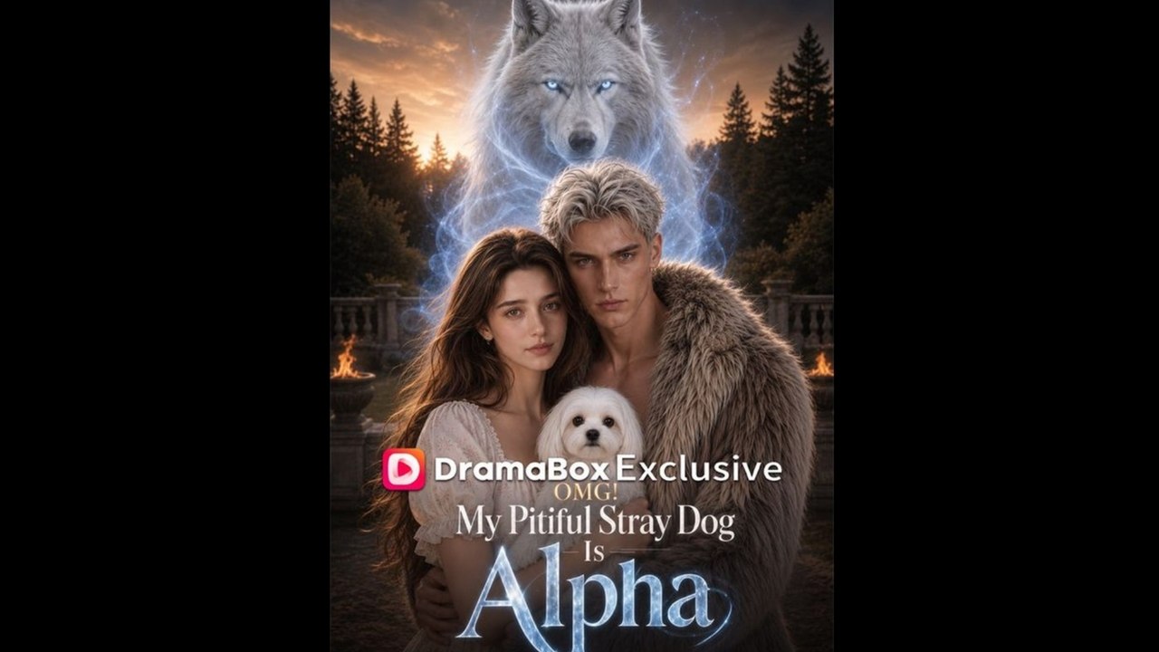 [FULL HD] OMG! My Pitiful Stray Dog Is Alpha