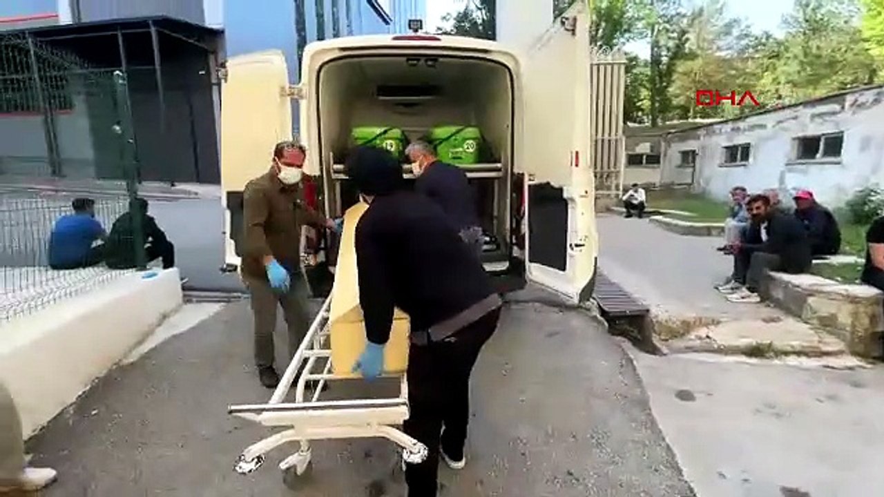Yazın sessiz katili iş başında... Bir kene ölümü daha!
